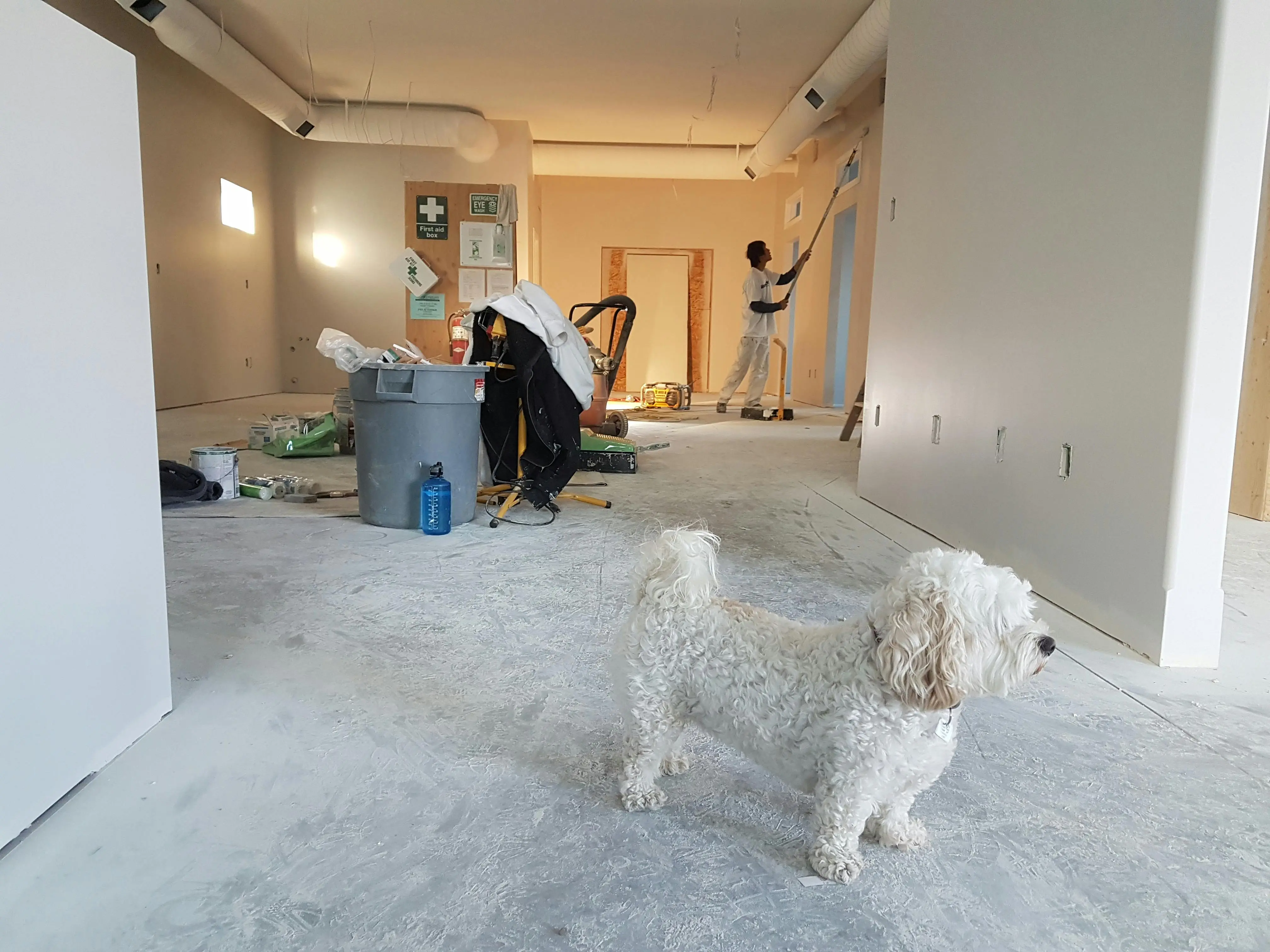 Mimaride Renovasyon Nedir? Kapsamlı Rehber ve Profesyonel Yaklaşımlar